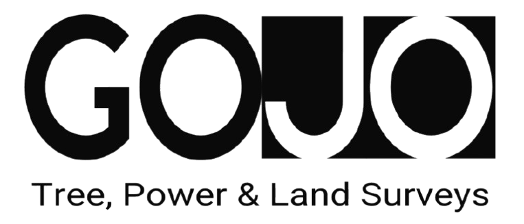 Go Jo Logo